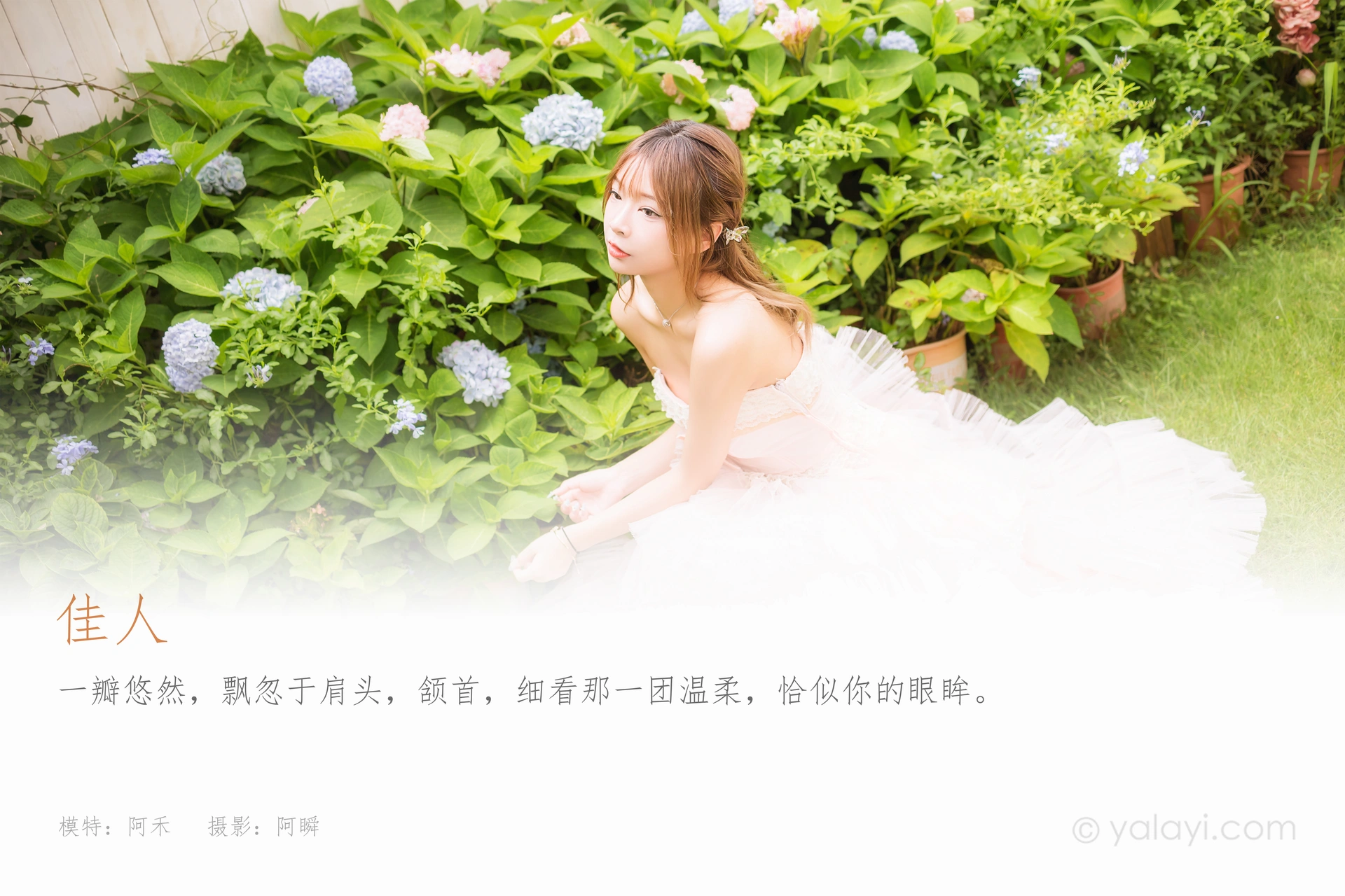 [YALAYI雅拉伊] 2022.08.22 NO.965 佳人 阿禾 1